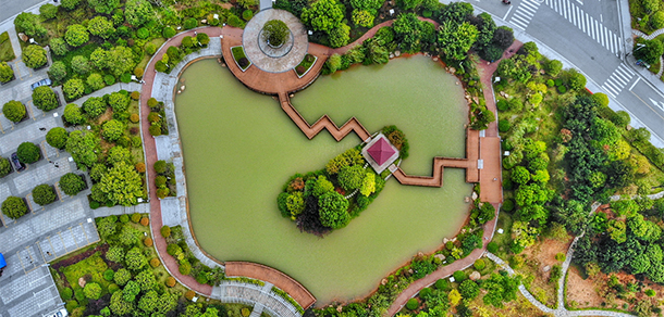 我的大學-大學志