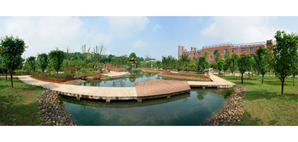 我的大學-大學志