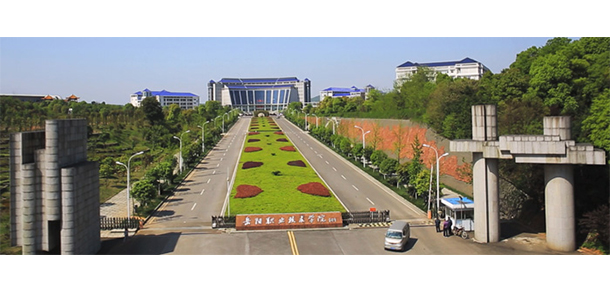 我的大學(xué)-大學(xué)志