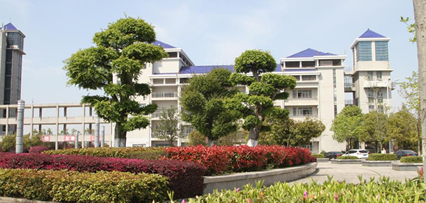 我的大學(xué)-大學(xué)志