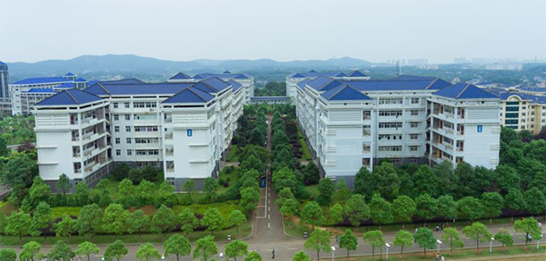 我的大學(xué)-大學(xué)志