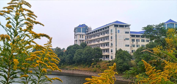 我的大學(xué)-大學(xué)志