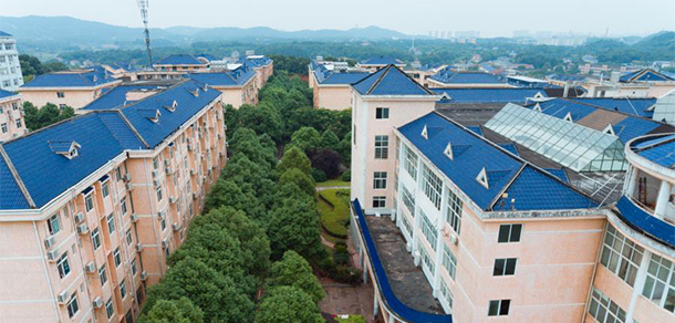 我的大學(xué)-大學(xué)志