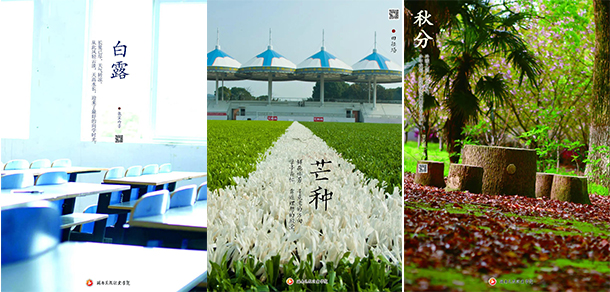我的大學(xué)-大學(xué)志