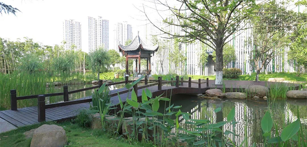 我的大學(xué)-大學(xué)志