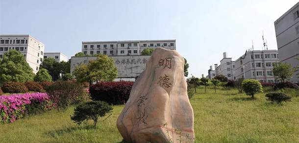 我的大學(xué)-大學(xué)志