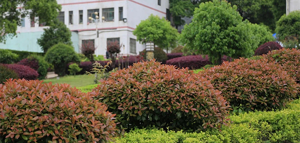 我的大學(xué)-大學(xué)志