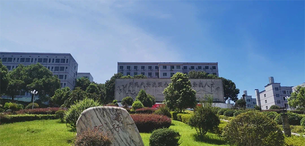 我的大學(xué)-大學(xué)志