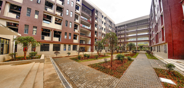 我的大學(xué)-大學(xué)志