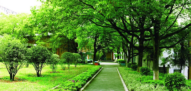 我的大學-大學志