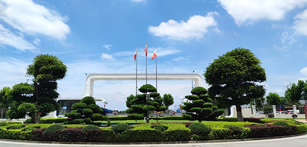 我的大學(xué)-大學(xué)志