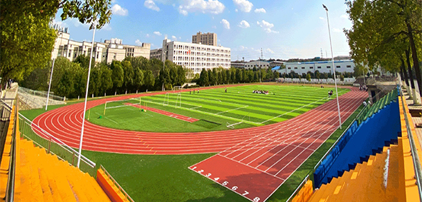 我的大學(xué)-大學(xué)志
