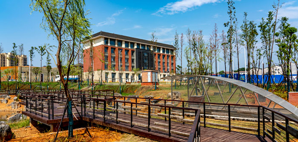 我的大學(xué)-大學(xué)志