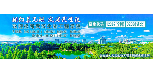我的大學(xué)-大學(xué)志