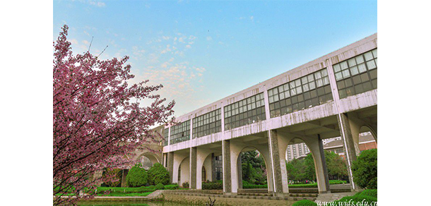 我的大學(xué)-大學(xué)志
