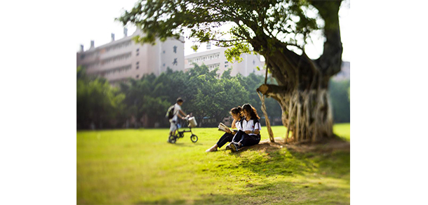 我的大學(xué)-大學(xué)志