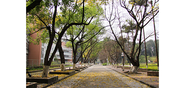 我的大學-大學志