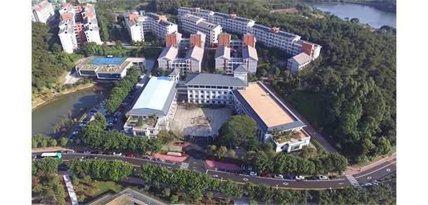 我的大學(xué)-大學(xué)志