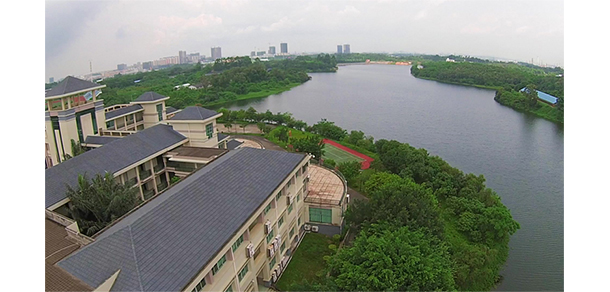 我的大學(xué)-大學(xué)志