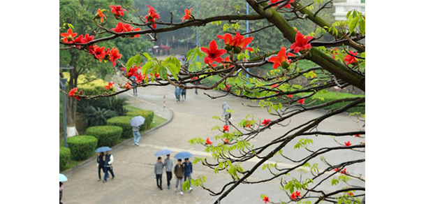 我的大學(xué)-大學(xué)志