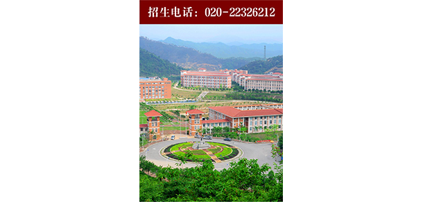 我的大學(xué)-大學(xué)志