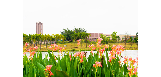 我的大學-大學志