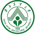 最美大學(xué)