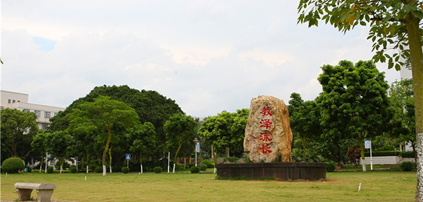 我的大學(xué)-大學(xué)志