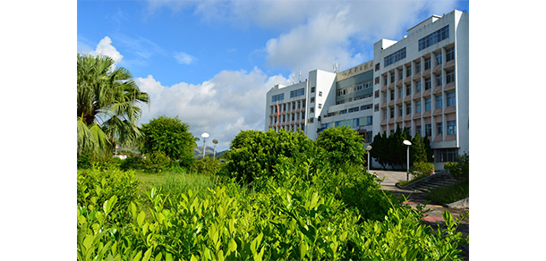 我的大學-大學志