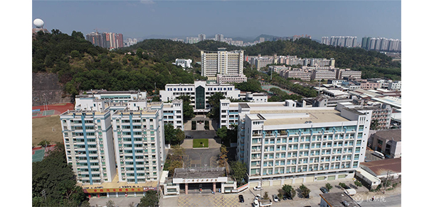 我的大學(xué)-大學(xué)志