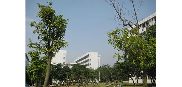 我的大學(xué)-大學(xué)志