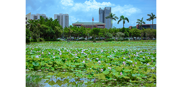 我的大學-大學志