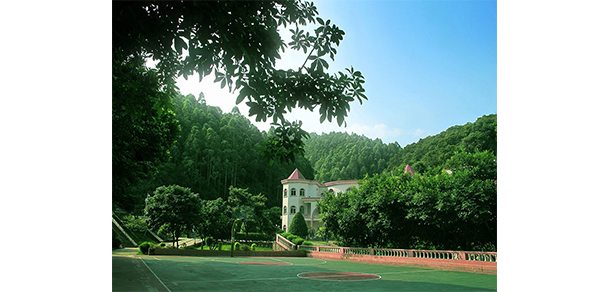 我的大學(xué)-大學(xué)志