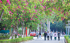 歷史沿革(概)校史