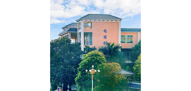 我的大學(xué)-大學(xué)志