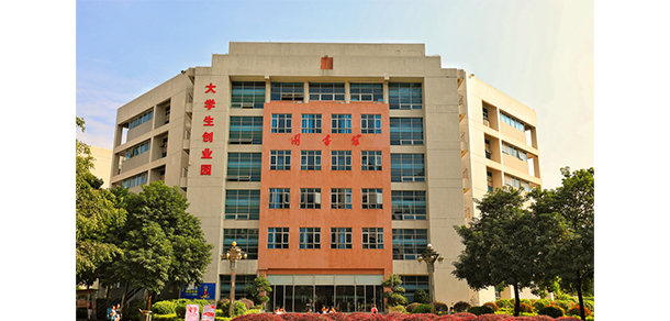 我的大學(xué)-大學(xué)志