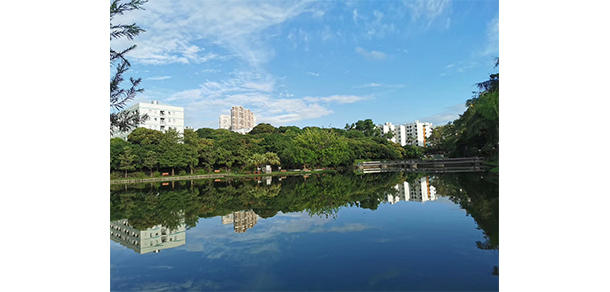 我的大學-大學志