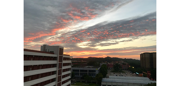 我的大學-大學志