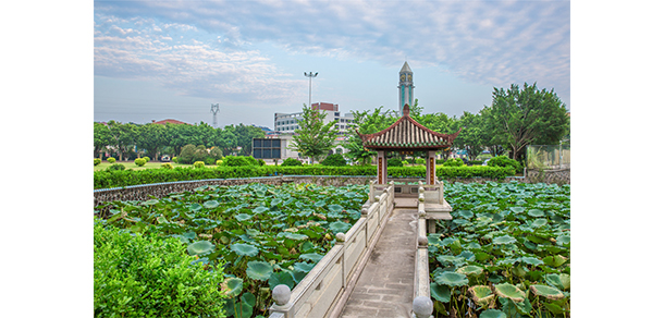 我的大學(xué)-大學(xué)志