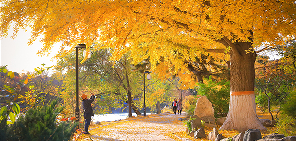 北京大學