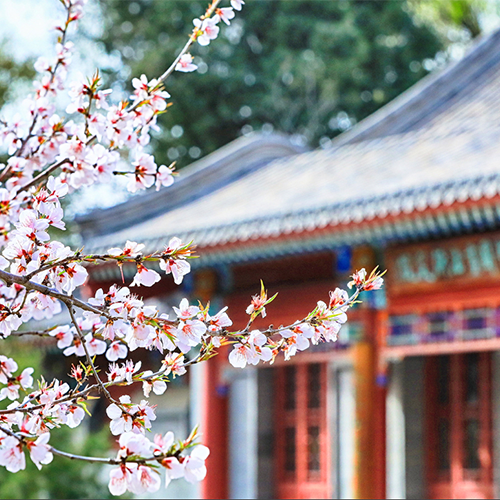 北京大學-大學簡介