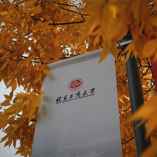 大學(xué)志