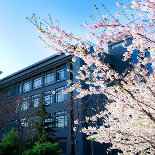 我的大學(xué)