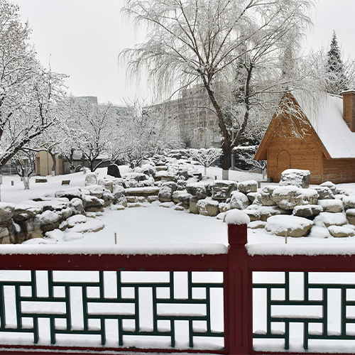 大學(xué)志