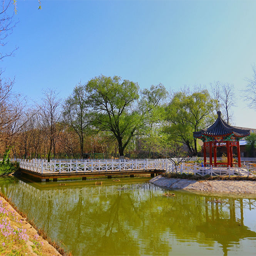 北京農(nóng)學(xué)院-大學(xué)文化