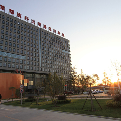 最美校園