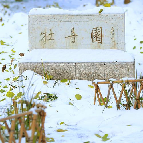 我的大學