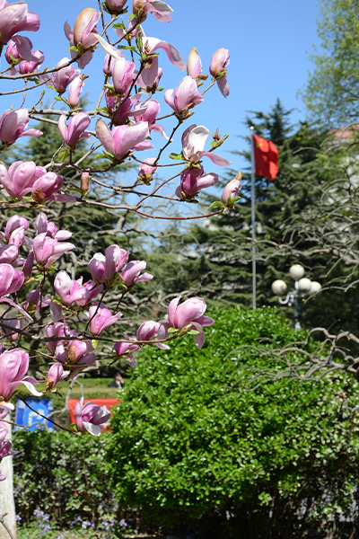 中國勞動關(guān)系學(xué)院