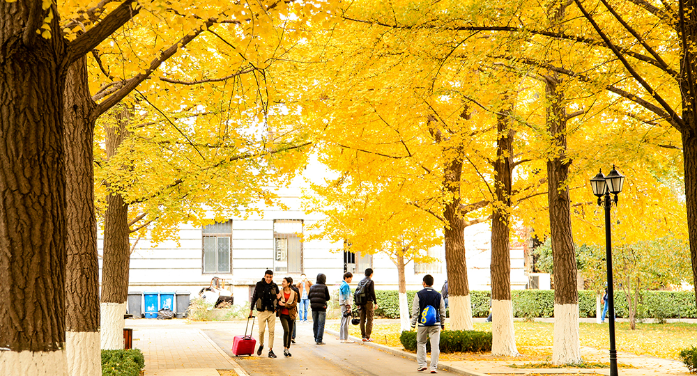 北京科技大學(xué) 中國名片里的青春力量