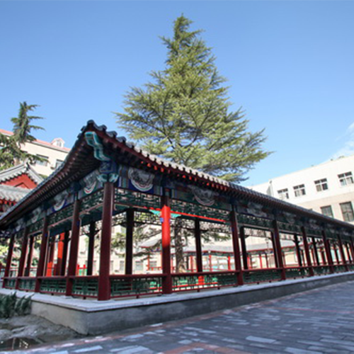 校志校史